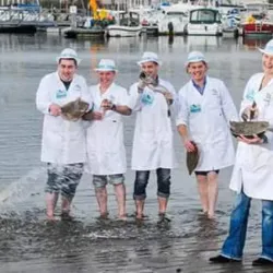 Maynooth Market - Maynooth