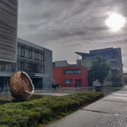 Maynooth University - Maynooth