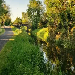 Royal Canal Greenway - Maynooth