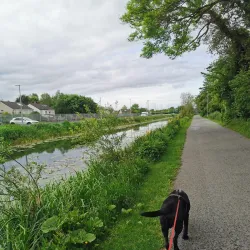Royal Canal Greenway - Maynooth