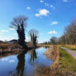Royal Canal Greenway - Maynooth