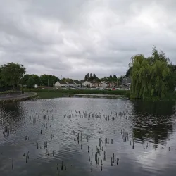 Royal Canal Greenway - Maynooth