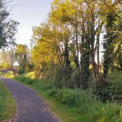 Royal Canal Greenway - Maynooth