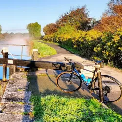 Royal Canal Greenway - Maynooth