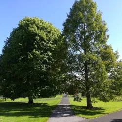 St. Patrick's College, Maynooth - Maynooth