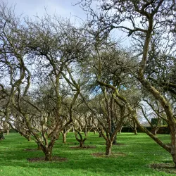 St. Patrick's College, Maynooth - Maynooth