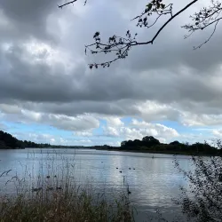Lough Muckno - Monaghan