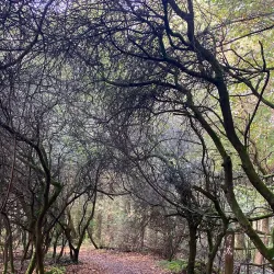 Lough Muckno - Monaghan