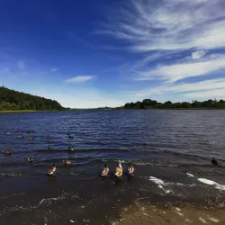 Lough Muckno - Monaghan
