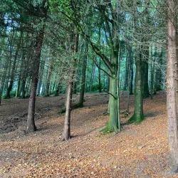 Lough Muckno - Monaghan
