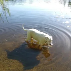 Lough Muckno - Monaghan