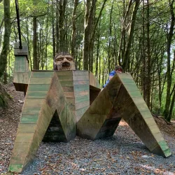 Rossmore Forest Park - Monaghan