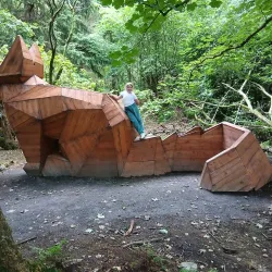 Rossmore Forest Park - Monaghan