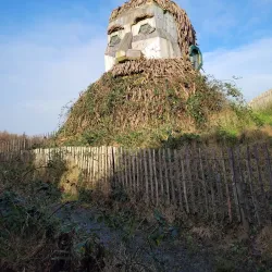 Rossmore Forest Park - Monaghan