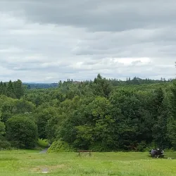 Rossmore Forest Park - Monaghan