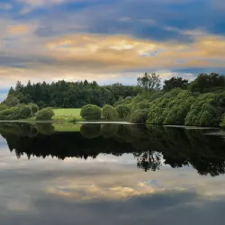 Rossmore Forest Park - Monaghan
