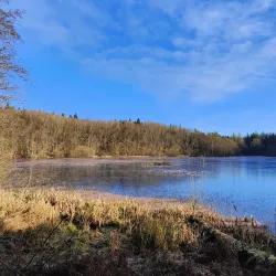 Rossmore Forest Park - Monaghan