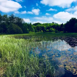 Rossmore Forest Park - Monaghan