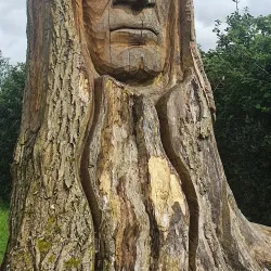 Lough Ennell - Mullingar