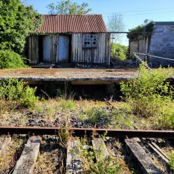 Lough Ennell - Mullingar