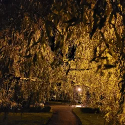 Mullingar Town Park - Mullingar