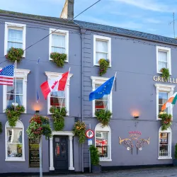 The Greville Arms Hotel - Mullingar