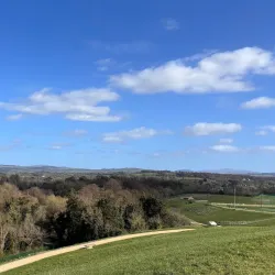 Kerdiffstown House and Park - Naas