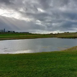 Kerdiffstown House and Park - Naas