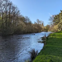 Liffey Linear Park - Naas
