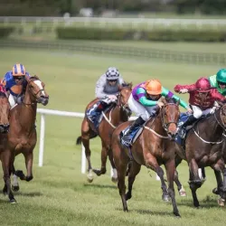 Naas Racecourse - Naas