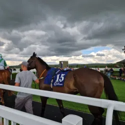 Naas Racecourse - Naas