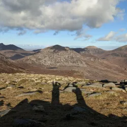 Annalong Woods - Navan