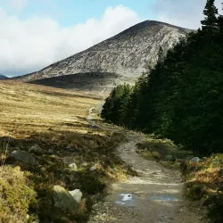 Annalong Woods - Navan