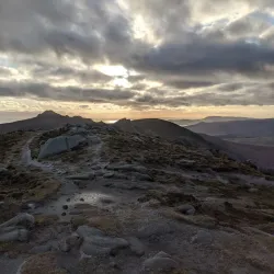 Annalong Woods - Navan