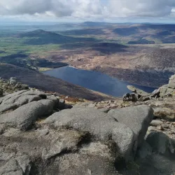 Annalong Woods - Navan