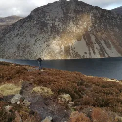 Annalong Woods - Navan