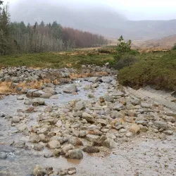 Annalong Woods - Navan