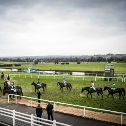 Navan Racecourse - Navan