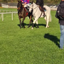Navan Racecourse - Navan