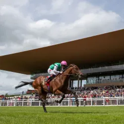 Curragh Racecourse - Newbridge