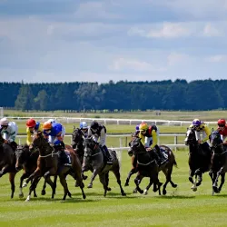 Curragh Racecourse - Newbridge