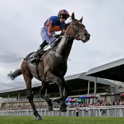 Curragh Racecourse - Newbridge