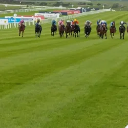 Curragh Racecourse - Newbridge
