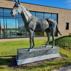 Curragh Racecourse - Newbridge