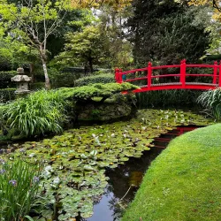 Irish National Stud & Gardens - Newbridge