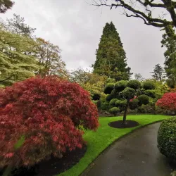 Irish National Stud & Gardens - Newbridge