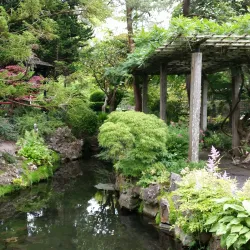 Irish National Stud & Gardens - Newbridge