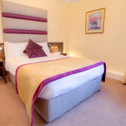 Lucan Spa Hotel - Ongar