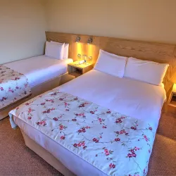 Lucan Spa Hotel - Ongar