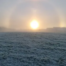 Ongar Parklands - Ongar